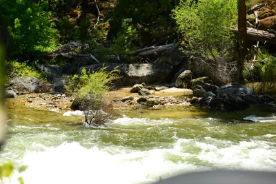 DSC_2245 (Large).JPG